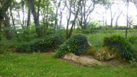 357a The lost Gardens of Heligan