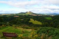 369 Scotts View