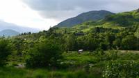 399 Glenfinnian, Hirsche