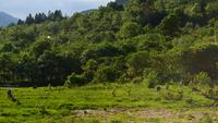 403 Glenfinnian, Hirsche
