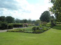 Killerton Garden