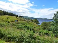 Wanderung im Carron Valley Forest