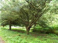 Wanderung bei Invresnaid