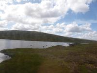 Zugfahrt nach Upper Tyndrum - Landschaft