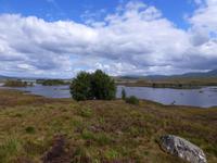 Rannoch Moor