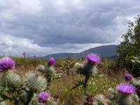 Rannoch Moor