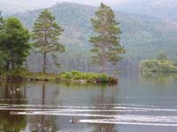 Rothiemurus Forest - Loch An Eilein