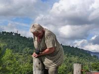 Rothiemurus Forest -Hindernis