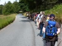Rothiemurus Forest -Wanderung