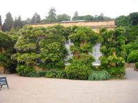 Devon-Killerton House