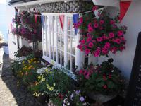 Pittoreskes Clovelly