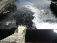 Pitlochry Wasserkraftwerk