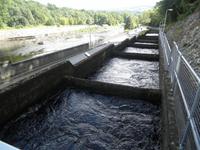 Pitlochry Lachstreppen