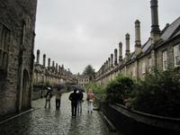 Vickars Close in Wells