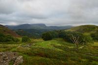 216 Ffestiniog Railway