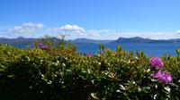 493 Schottland, Armadale Castle and Garden