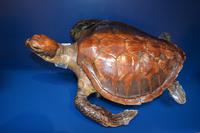 124 Natural History Museum