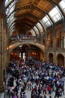 125 Natural History Museum