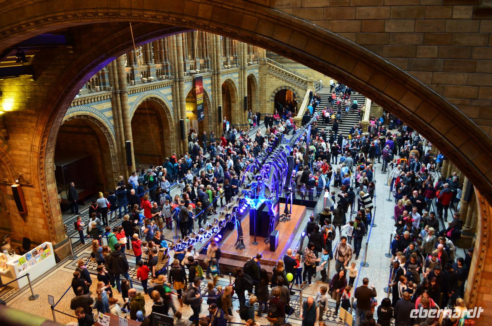 127 Natural History Museum
