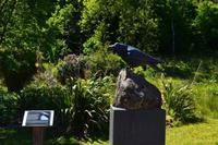 504 Schottland, Armadale Castle and Garden, Clan McDonald
