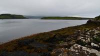506 Skye, Küste bei Dunvegan Castle