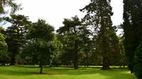 514 Borderland, Dryburgh Abbey