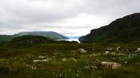 529 Poolewe, Loch Maree