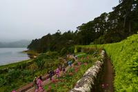 531 Inverewe Garden