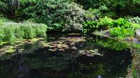 537 Inverewe Garden
