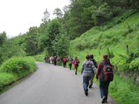 Rothiemurchus Forest