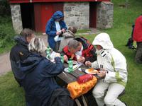 Rothiemurchus Forest