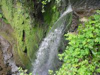 Isle of Wight/Shanklin Shine