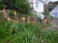 Auf dem Weg zum Minack Theater in Porthcurno