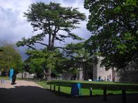 Bischoffspalast in Wells