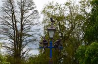 077 Stratford upon Avon