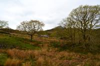 193 Ffestiniog Railway