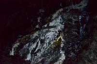 205 Llechwedd Slate Caverns