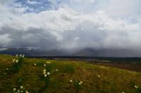 289 Commando Memorial