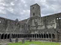 6. Tag – Sligo Abbey