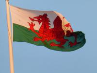 Der Drache von Wales