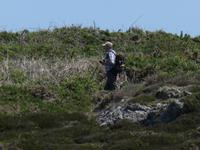 Pembrokeshire Coast Path