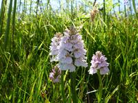 Pembrokeshire Coast Path