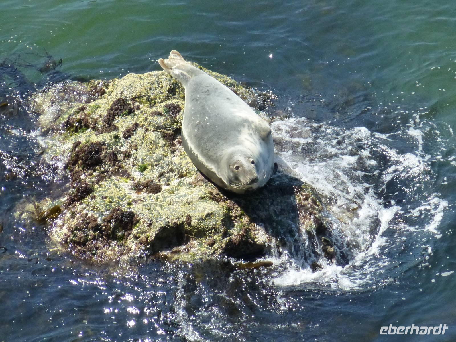 Pembrokeshire Coast Path
