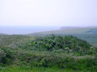 An der Steilküste bei Eastbourne