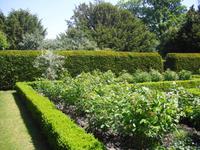 Rosengarten in Arundel Castle
