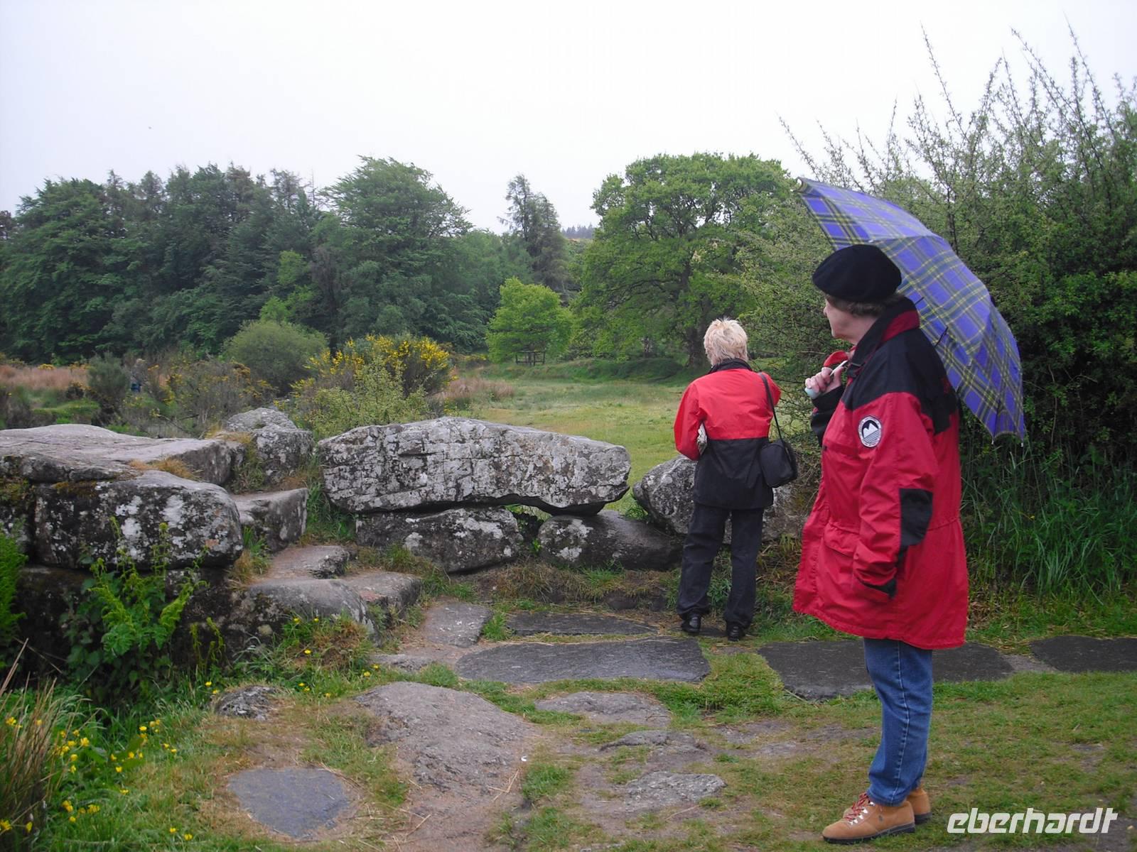 Blick in das sagenumwobene Dartmoor