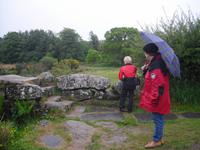 Blick in das sagenumwobene Dartmoor