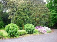 Garten des Penmorvah Manor Hotels