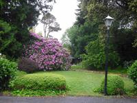 Garten des Penmorvah Manor Hotels