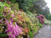 Frühling in Cornwall